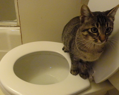 DSC00173.JPG
