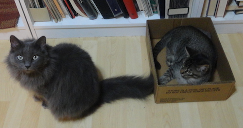 DSC00166.JPG
