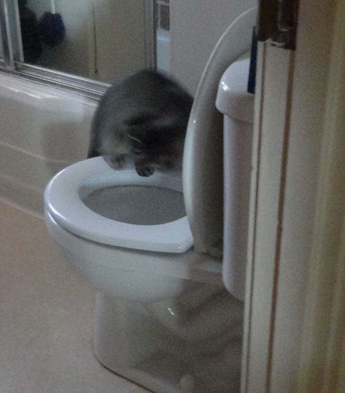 DSC00174.JPG