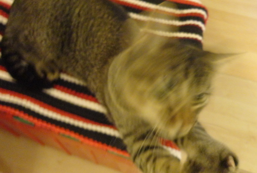 DSC00175.JPG