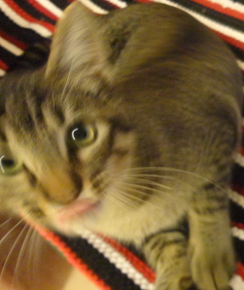 DSC00177.JPG